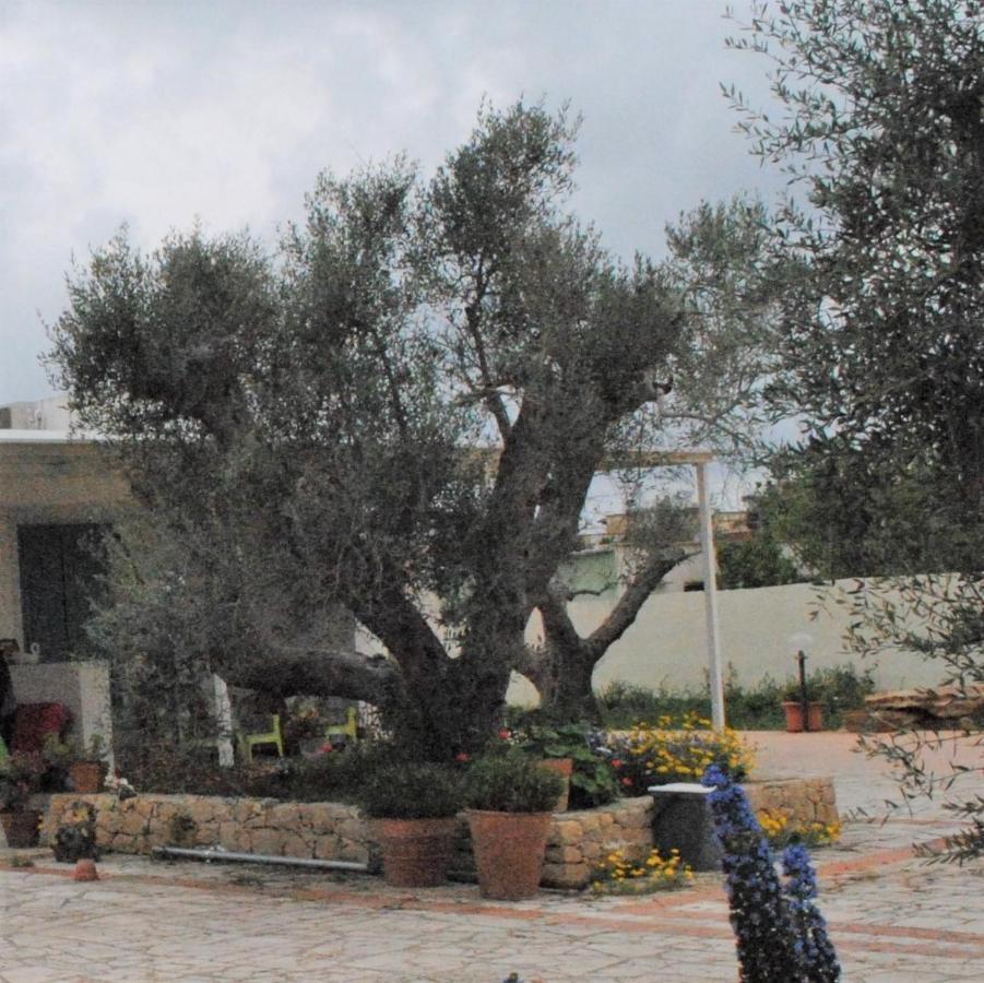 Microborgopasca Bed and Breakfast Sannicola Buitenkant foto