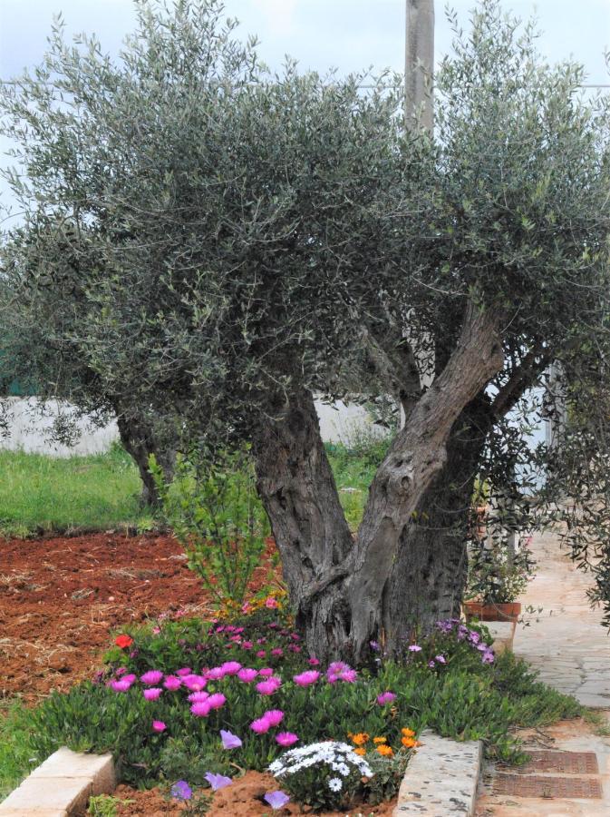 Microborgopasca Bed and Breakfast Sannicola Buitenkant foto